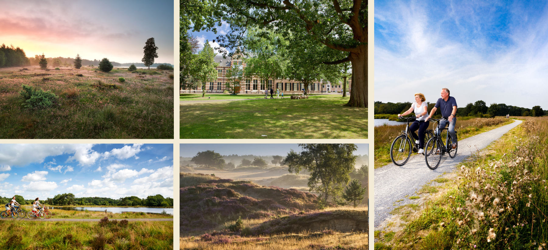 TVL All Inclusive Lentetrip De Bonte Wever Drenthe