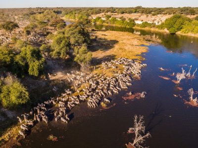 01 Meno a Kwena - Boteti River (1)