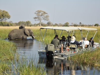 Okavango Still Boat 2