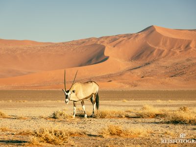 Fotoreis Namibië