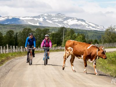 noorwegen-mjolkevegen-fietstocht