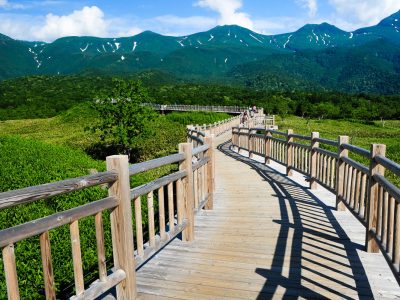 Wood,Walkway,In,Five,Lake,And,Mountain,At,Shiretoko,,Hokkaido,